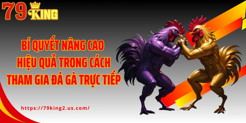 Bí quyết nâng cao hiệu quả trong cách tham gia đá gà trực tiếp