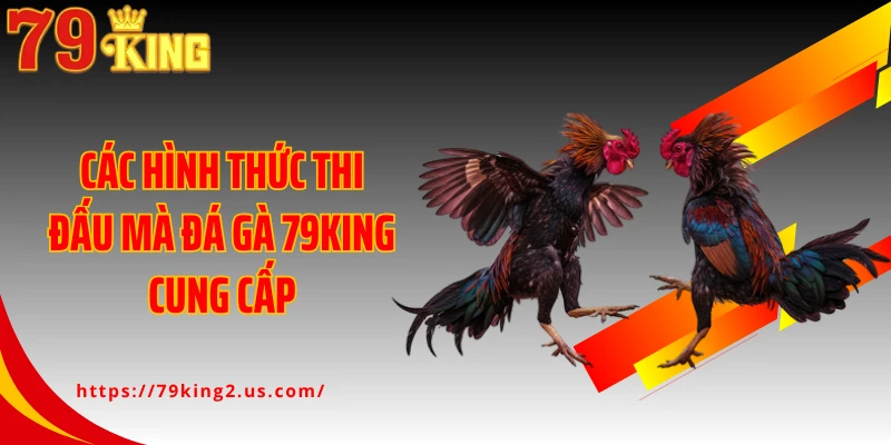 Các hình thức thi đấu mà đá gà 79King cung cấp