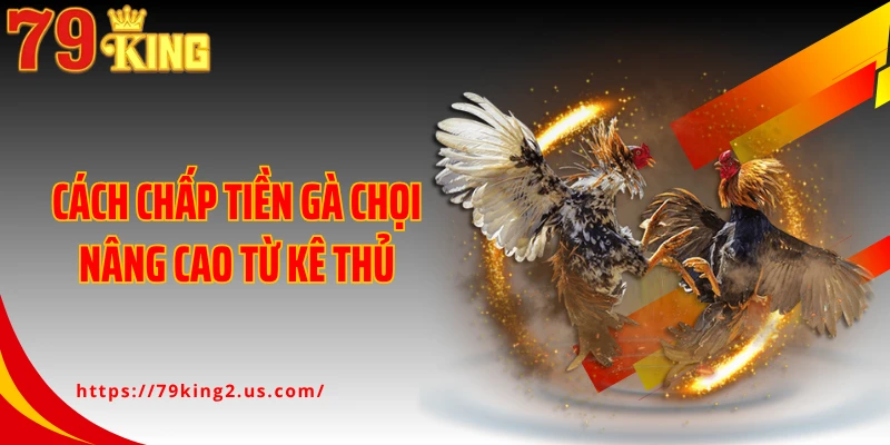 Cách chấp tiền gà chọi nâng cao từ kê thủ