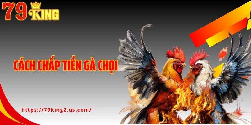 Cách Chấp Tiền Gà Chọi - Nghệ Thuật Đặt Kèo Công Bằng