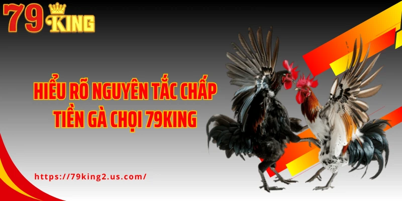 Hiểu rõ nguyên tắc chấp tiền gà chọi 79King