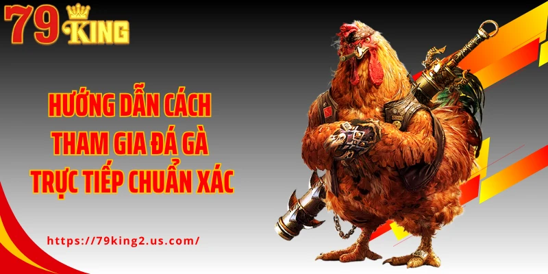 Hướng dẫn cách tham gia đá gà trực tiếp chuẩn xác